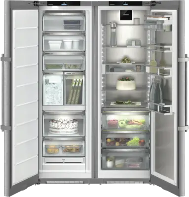 XRFst 5295-22 (SFNstd 529i-22+SRBstc 529i-22)