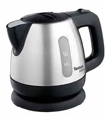 Tefal BI8125 Mini Inox